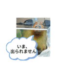 ZOOなかま（個別スタンプ：7）