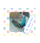 ZOOなかま（個別スタンプ：8）