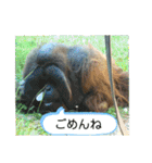 ZOOなかま（個別スタンプ：11）