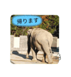 ZOOなかま（個別スタンプ：12）