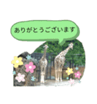 ZOOなかま（個別スタンプ：13）