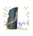 ZOOなかま（個別スタンプ：14）