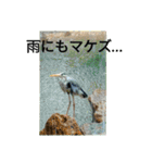 ZOOなかま（個別スタンプ：15）