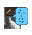 ZOOなかま（個別スタンプ：16）