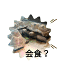 ZOOなかま（個別スタンプ：20）