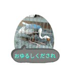 ZOOなかま（個別スタンプ：22）