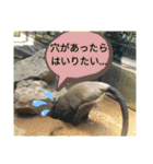 ZOOなかま（個別スタンプ：23）
