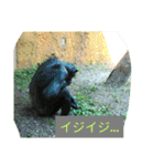 ZOOなかま（個別スタンプ：25）