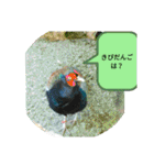 ZOOなかま（個別スタンプ：26）