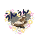 ZOOなかま（個別スタンプ：32）