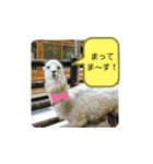 ZOOなかま（個別スタンプ：35）
