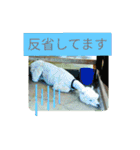 ZOOなかま（個別スタンプ：36）