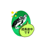 ZOOなかま（個別スタンプ：37）