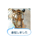 ZOOなかま（個別スタンプ：39）