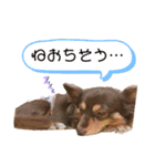 こたの1日 part 2（個別スタンプ：3）