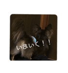 こたの1日 part 2（個別スタンプ：7）