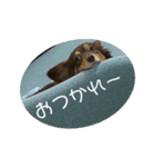 こたの1日 part 2（個別スタンプ：11）