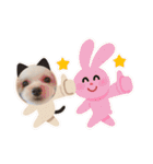 マルプー♡よく使うスタンプ3（個別スタンプ：12）