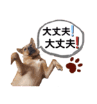 あか松＆うに（個別スタンプ：9）