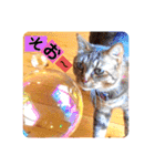 あか松＆うに（個別スタンプ：18）