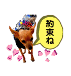 あか松＆うに（個別スタンプ：21）
