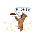 あか松＆うに（個別スタンプ：25）