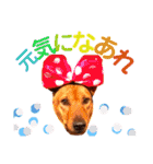 あか松＆うに（個別スタンプ：26）
