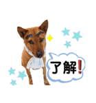 あか松＆うに（個別スタンプ：27）
