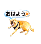 あか松＆うに（個別スタンプ：32）