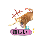 あか松＆うに（個別スタンプ：33）