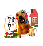 あか松＆うに（個別スタンプ：38）