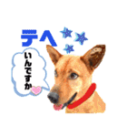 あか松＆うに（個別スタンプ：40）