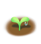 Island Exploration（個別スタンプ：10）