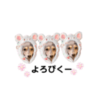 Rinちゃん♥（個別スタンプ：16）