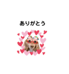 Rinちゃん♥（個別スタンプ：21）