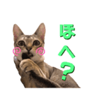 あろんくんだぞ（個別スタンプ：2）