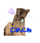 あろんくんだぞ（個別スタンプ：3）
