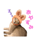 あろんくんだぞ（個別スタンプ：4）