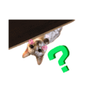 あろんくんだぞ（個別スタンプ：6）
