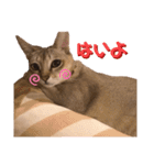あろんくんだぞ（個別スタンプ：7）