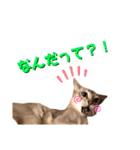 あろんくんだぞ（個別スタンプ：9）