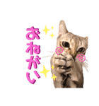 あろんくんだぞ（個別スタンプ：10）