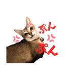 あろんくんだぞ（個別スタンプ：12）