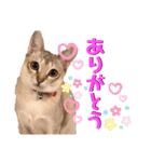 あろんくんだぞ（個別スタンプ：13）