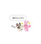 まろちゃん大先生2（個別スタンプ：5）