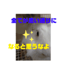 プリンフェスティバル（個別スタンプ：1）