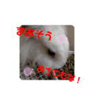 プリンフェスティバル（個別スタンプ：2）