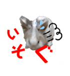プリンフェスティバル（個別スタンプ：3）