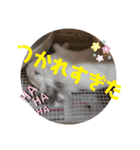プリンフェスティバル（個別スタンプ：6）