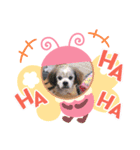 ばるどん2(   ˙-˙   )（個別スタンプ：3）